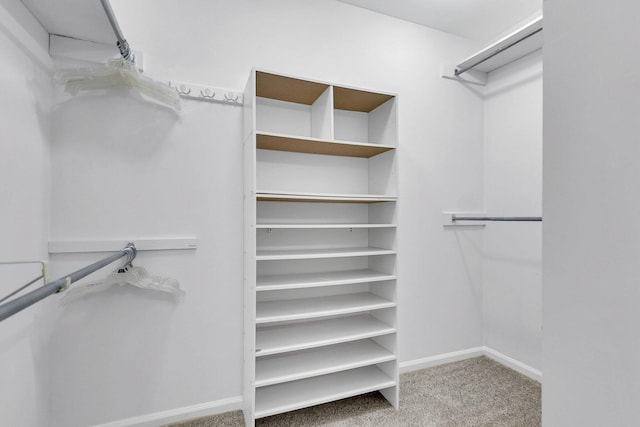 spacious closet with carpet floors