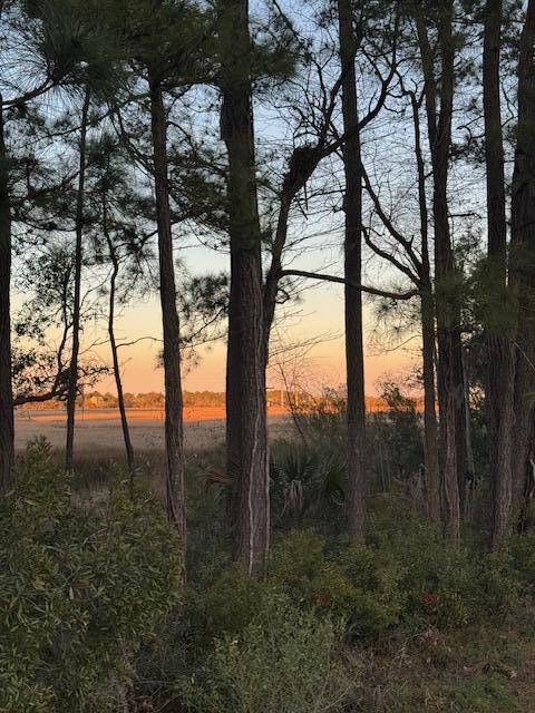 view of nature at dusk