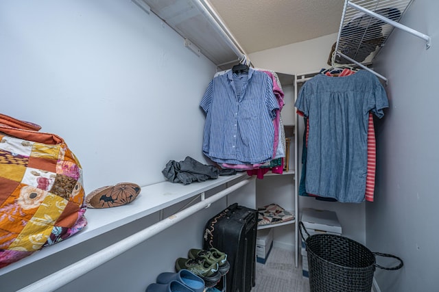 1401 Elm Hall Cir, Summerville, SC 29483 - view of spacious closet