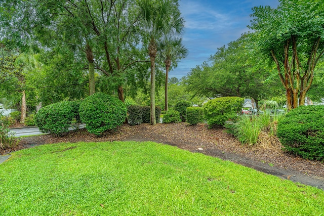 1401 Elm Hall Cir, Summerville, SC 29483 - view of grassy yard