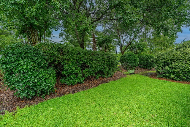 1401 Elm Hall Cir, Summerville, SC 29483 - view of grassy yard