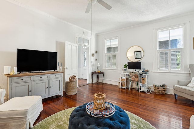 living room featuring ceiling fan, dark wood-type flooring, a textured ceiling, and ornamental molding