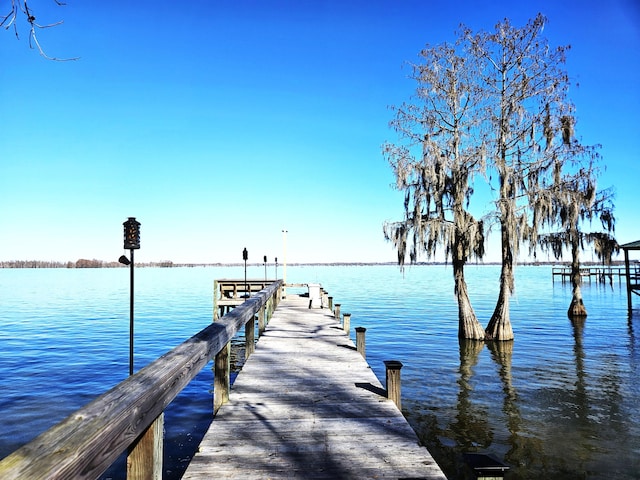 dock area featuring a water view