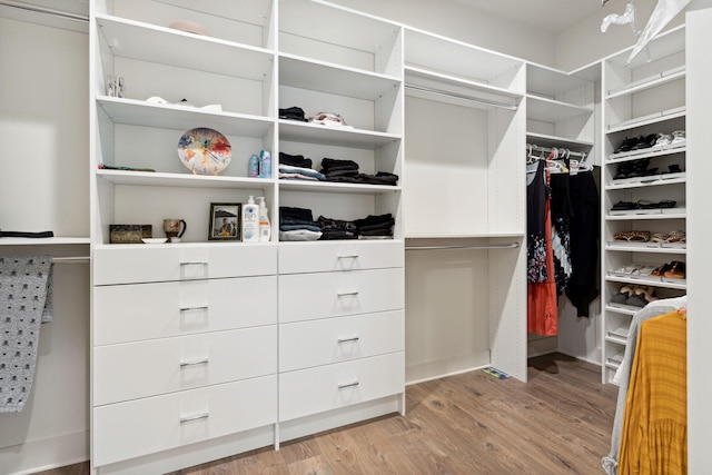 walk in closet featuring light hardwood / wood-style flooring