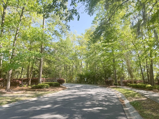 view of road with curbs