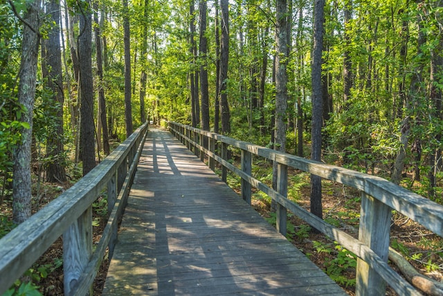 3000 Treadwell St, Mount Pleasant, SC 29466 - view of property's community with a wooded view