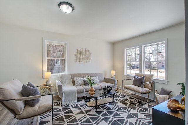 living area with wood finished floors