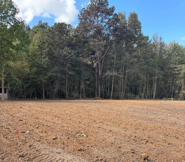 142-11 Donald Ln, Bonneau, SC 29431 - view of nature