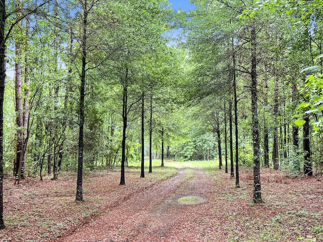 1514 Reevesville Rd, Bowman, SC 29018 - view of yard featuring a wooded view