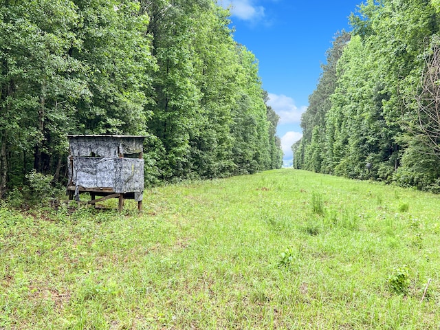 1514 Reevesville Rd, Bowman, SC 29018 - view of yard