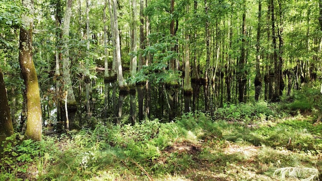 1514 Reevesville Rd, Bowman, SC 29018 - view of nature