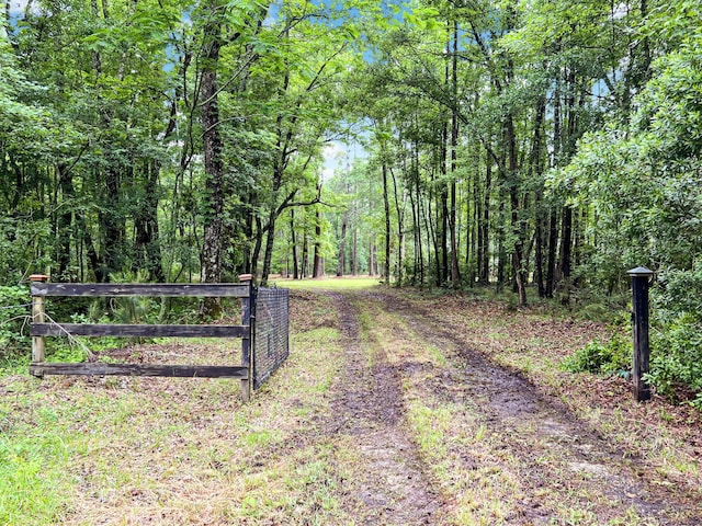 1514 Reevesville Rd, Bowman, SC 29018 - view of road featuring a wooded view