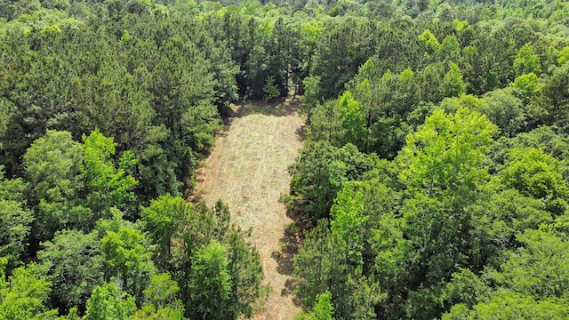 1514 Reevesville Rd, Bowman, SC 29018 - drone / aerial view of a heavily wooded area