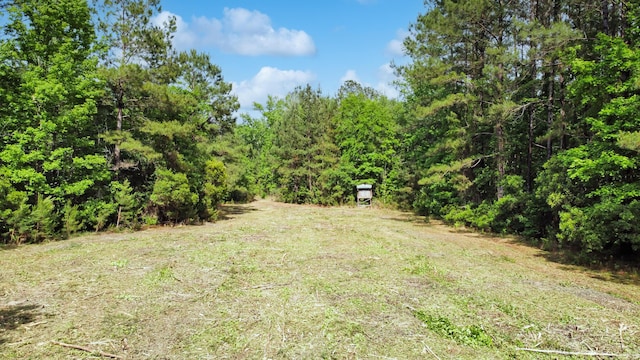 1514 Reevesville Rd, Bowman, SC 29018 - view of yard with a wooded view