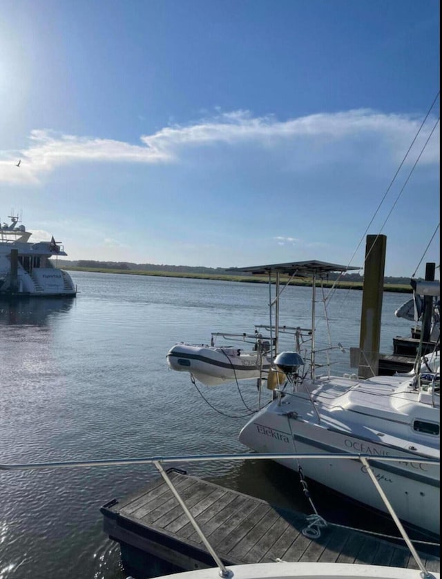 dock area with a water view