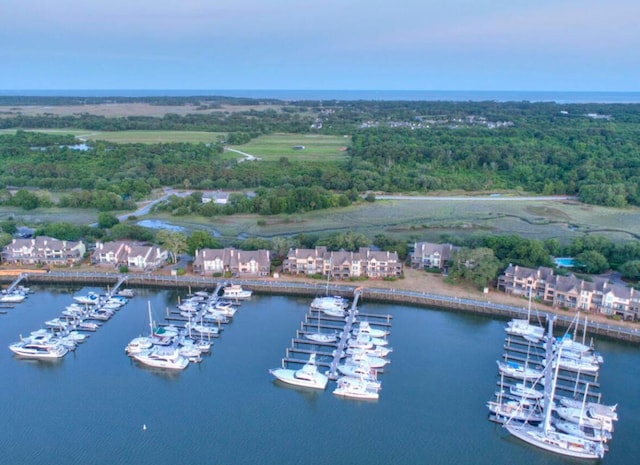 aerial view with a water view