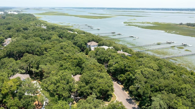 bird's eye view featuring a water view and a forest view