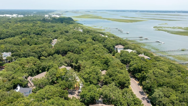 drone / aerial view featuring a water view and a view of trees