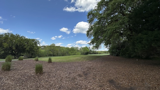view of local wilderness