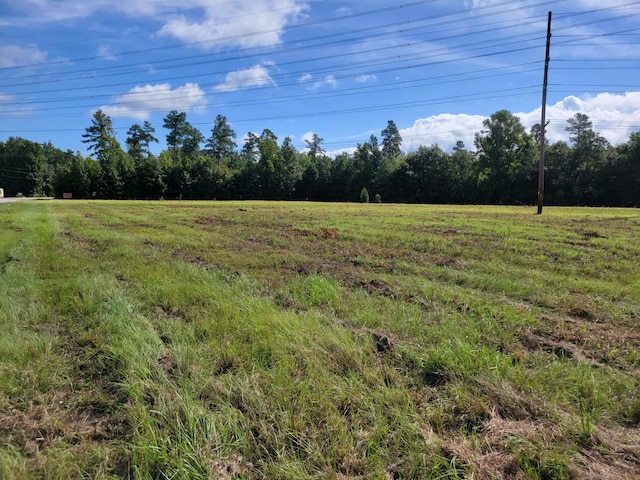 000 Metts St S, Saint George SC, 29477 land for sale