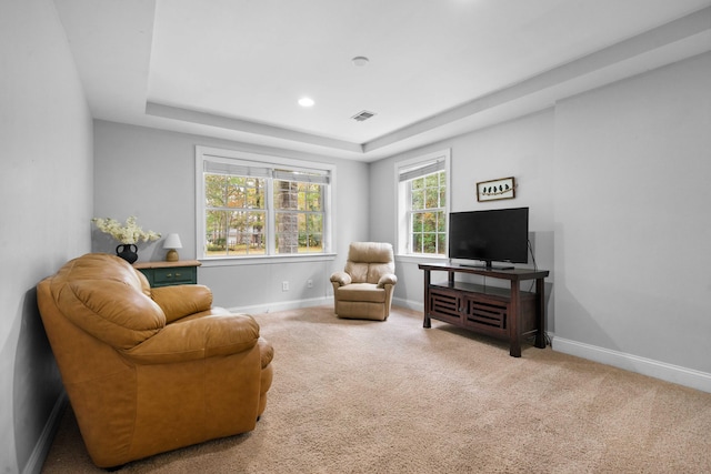 living area featuring carpet floors and a raised ceiling