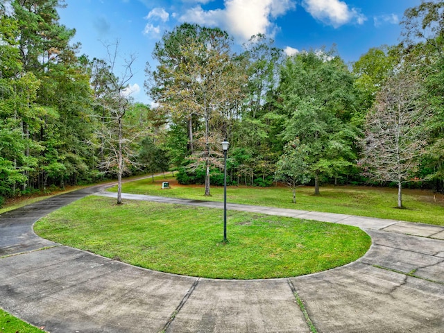 view of home's community featuring a yard