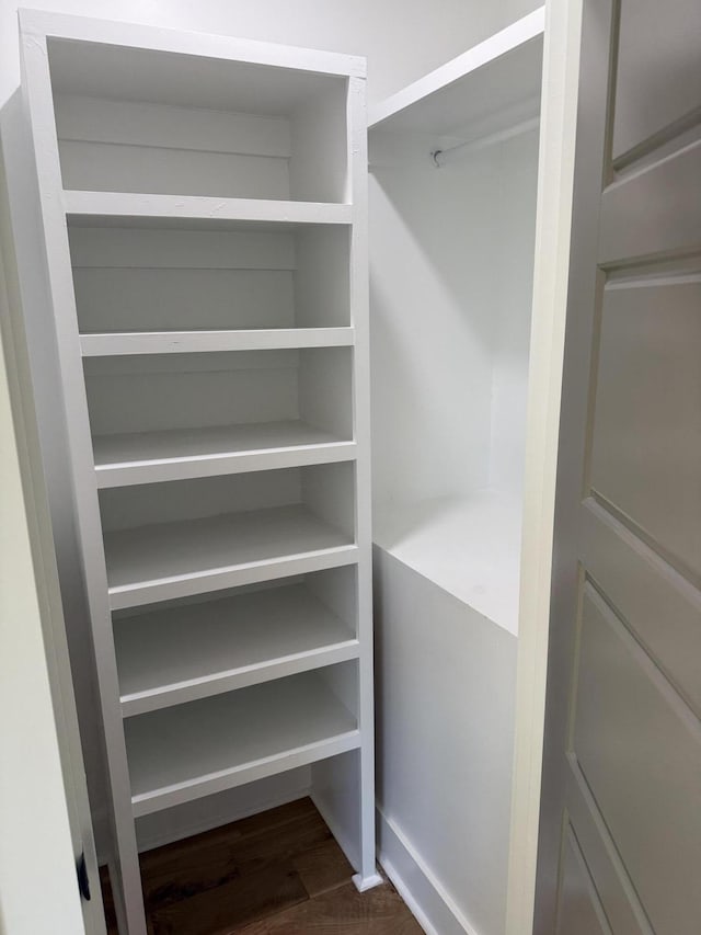 spacious closet with dark wood-type flooring