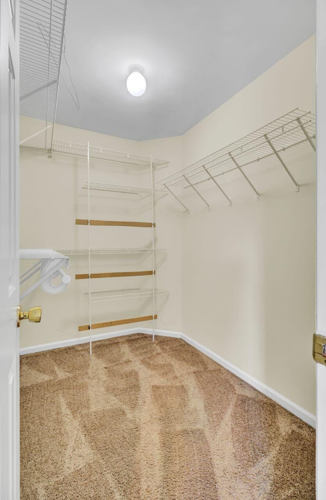434 Antebellum Ln, Mount Pleasant, SC 29464 - walk in closet featuring carpet