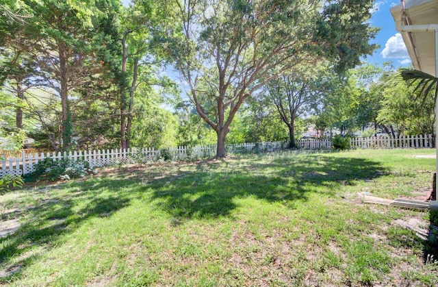 434 Antebellum Ln, Mount Pleasant, SC 29464 - view of yard