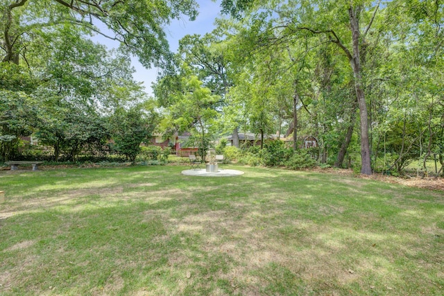 5043 Victoria Ave, North Charleston, SC 29405 - view of grassy yard