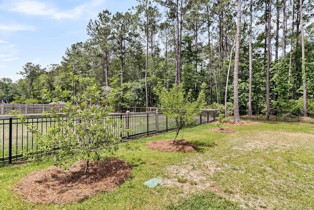 512 Pontoon Rd, Huger, SC 29450 - view of yard