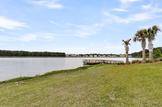 512 Pontoon Rd, Huger, SC 29450 - dock area with a yard and a water view
