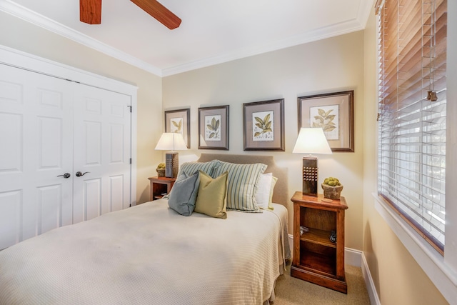 carpeted bedroom with multiple windows, a closet, ornamental molding, and ceiling fan