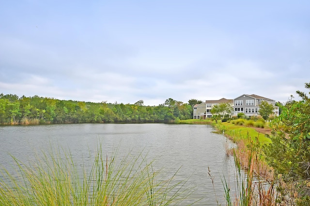 property view of water with a view of trees
