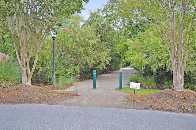 view of home's community