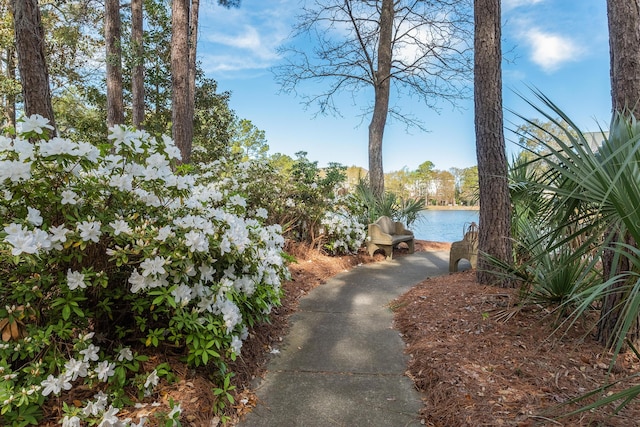 1232 Palmetto Peninsula Dr, Mount Pleasant, SC 29464 - view of property's community featuring a water view
