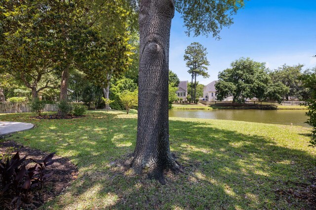 1232 Palmetto Peninsula Dr, Mount Pleasant, SC 29464 - view of yard with a water view
