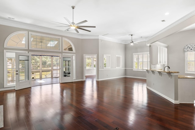 1232 Palmetto Peninsula Dr, Mount Pleasant, SC 29464 - unfurnished living room with ceiling fan, baseboards, dark wood-type flooring, and ornamental molding