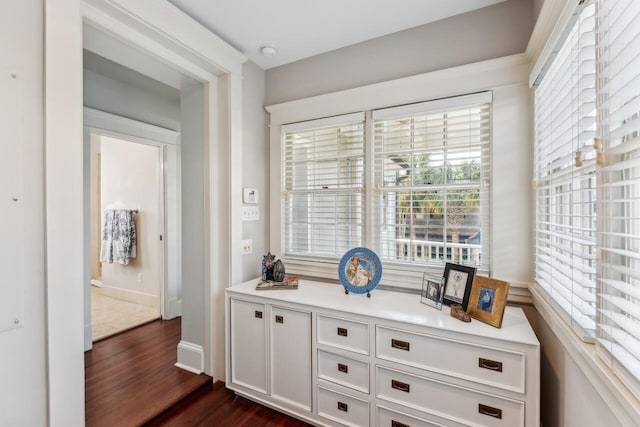 interior space with white cabinetry and dark hardwood / wood-style flooring