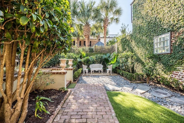 view of yard with a patio