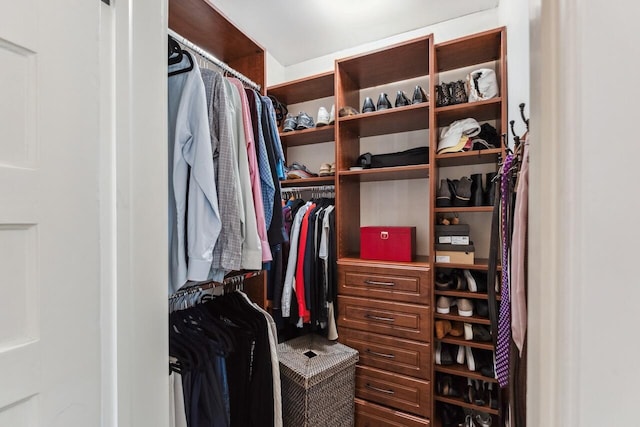 view of walk in closet