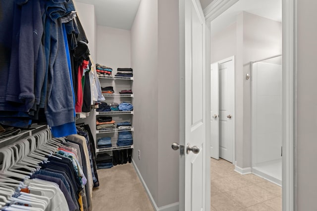 walk in closet with light carpet