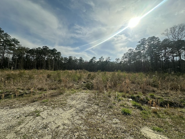 Listing photo 2 for 167 New Oak Ln, Moncks Corner SC 29461