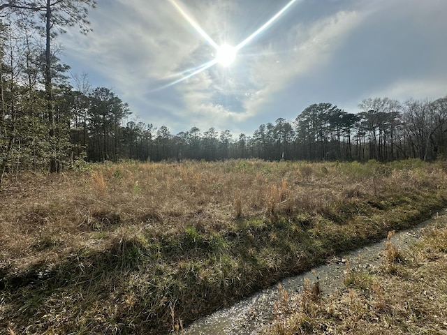 Listing photo 3 for 167 New Oak Ln, Moncks Corner SC 29461