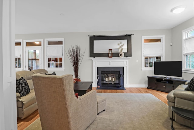 living room featuring light hardwood / wood-style flooring