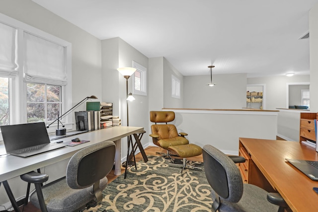 office area featuring a wealth of natural light and wood-type flooring