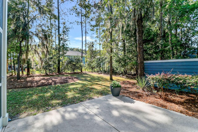 view of yard featuring a patio area