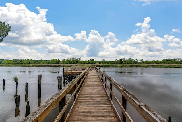 dock area with a water view