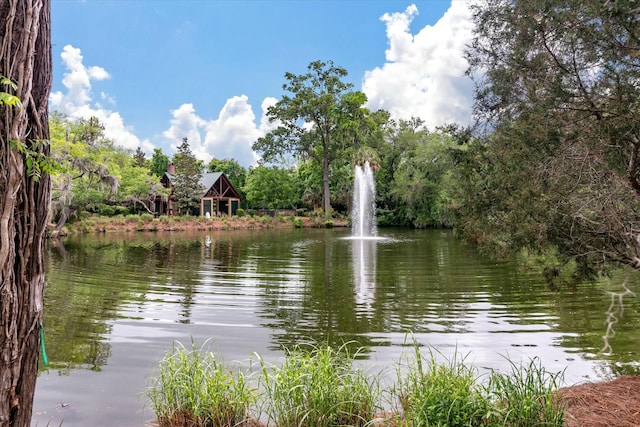 view of water feature
