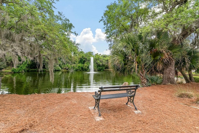 view of property's community featuring a water view
